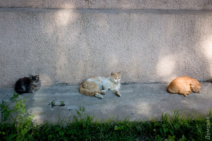 � ������!