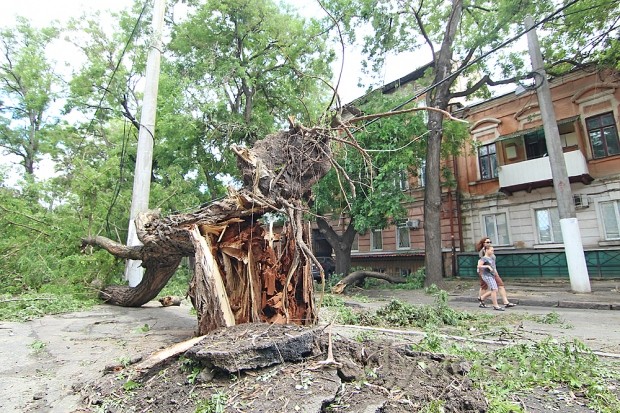 ����� ������������� ����������� �� ����������