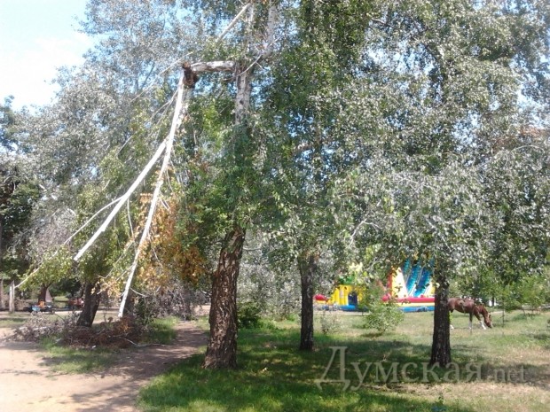 ��� �� ������� ��������