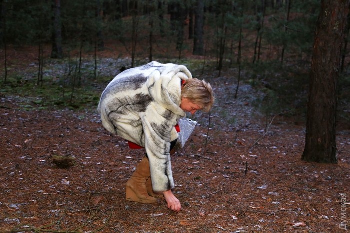 ��������� ������ �����