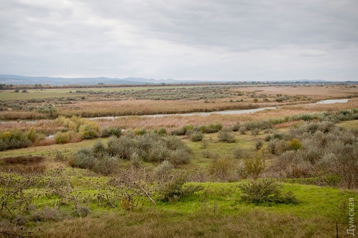 ����� ����������� �� ������������ � ������������� ������������