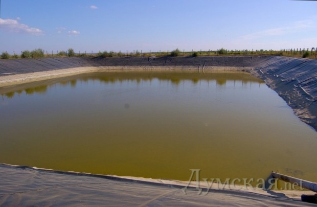 ��������� ������ ������ - ����-���������