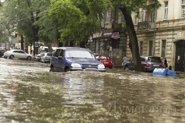 ���������. ����: ������������ "�������"