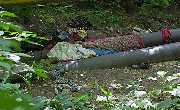 ����� ��������� ����� �����������