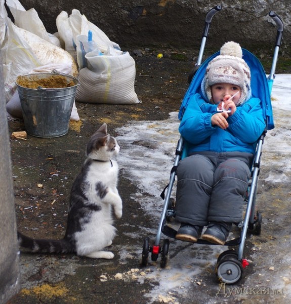 ��� ����� ��������� �������� � ������� �������