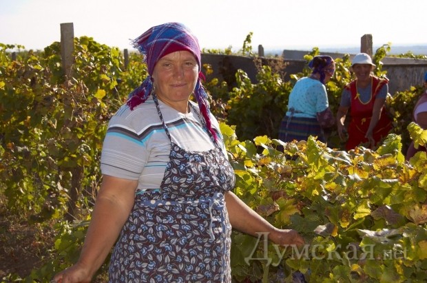 ������ � ���������� �������� ��� ����� ���������