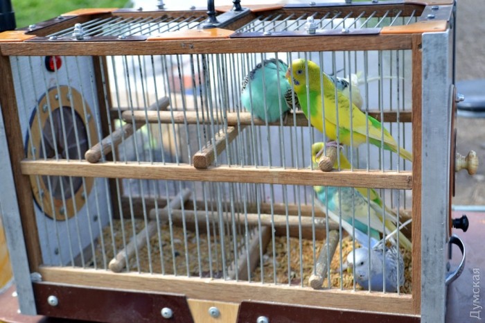 ����������� �� 130 ������ �� �����