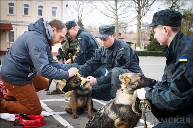 ����� � ���� ���� - ��������� ���������