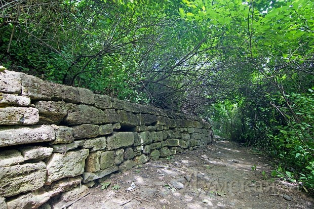 �������� � ���������� ������-���������, ������� ����� � ������������ ���������