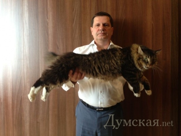 ������ �������� (� ����� �������)