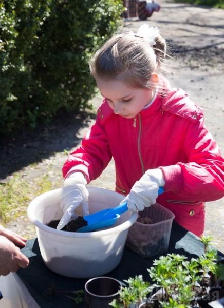 ������� ����� ������������� ���� ��������� ����������� � ��������������� �������� ������� 