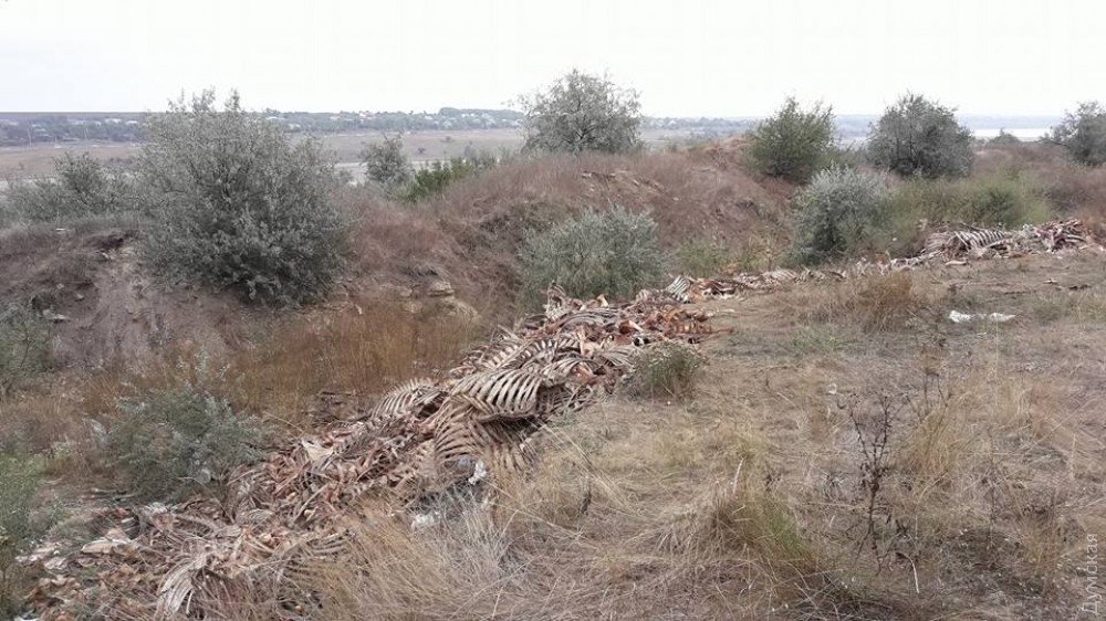 ����������� �����, ����� ������������� - ���� ������ �����������