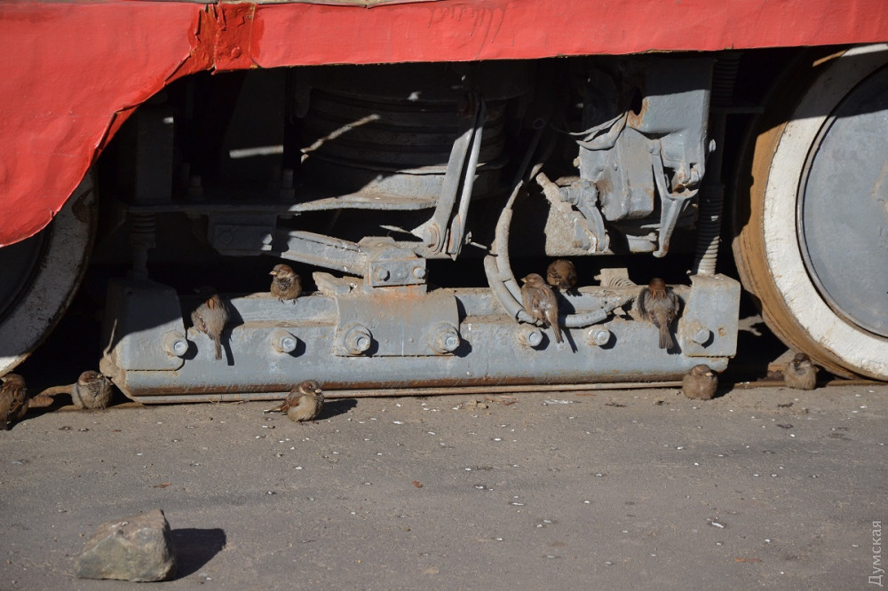 ������� ������������ �������