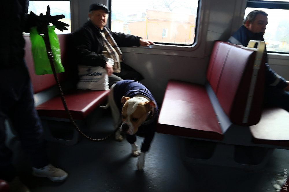 �������� ��������, ������� �� ��������