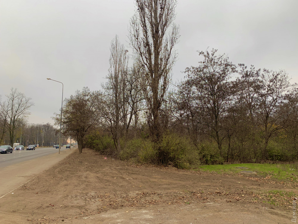 ���� � ���� �� ������� ����� ����������� ��������. ������� ��������� ������ ������