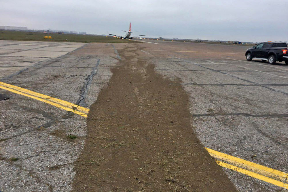 �����, ��� "�����" ��������� ��-3