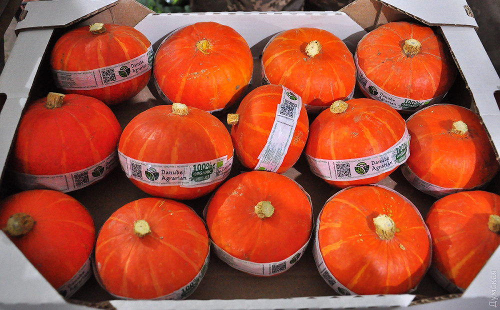 ����� ����� ��������