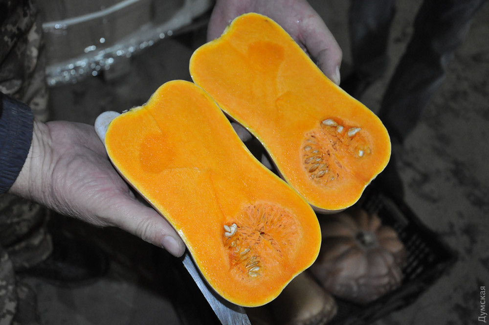 ����� ��������� � �������