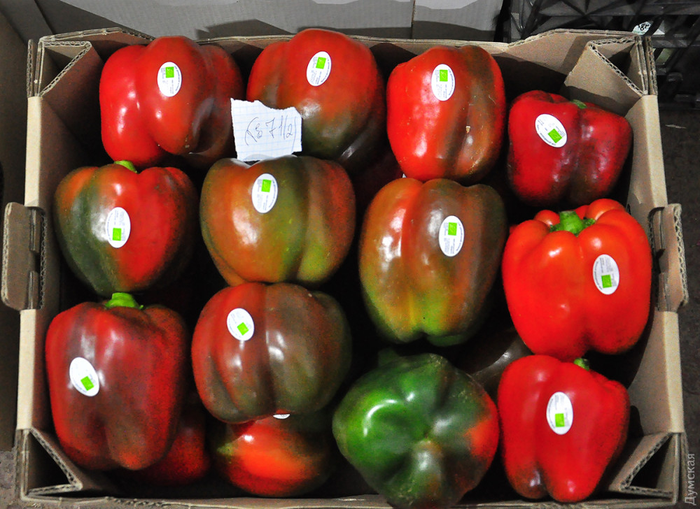 ������������ �����