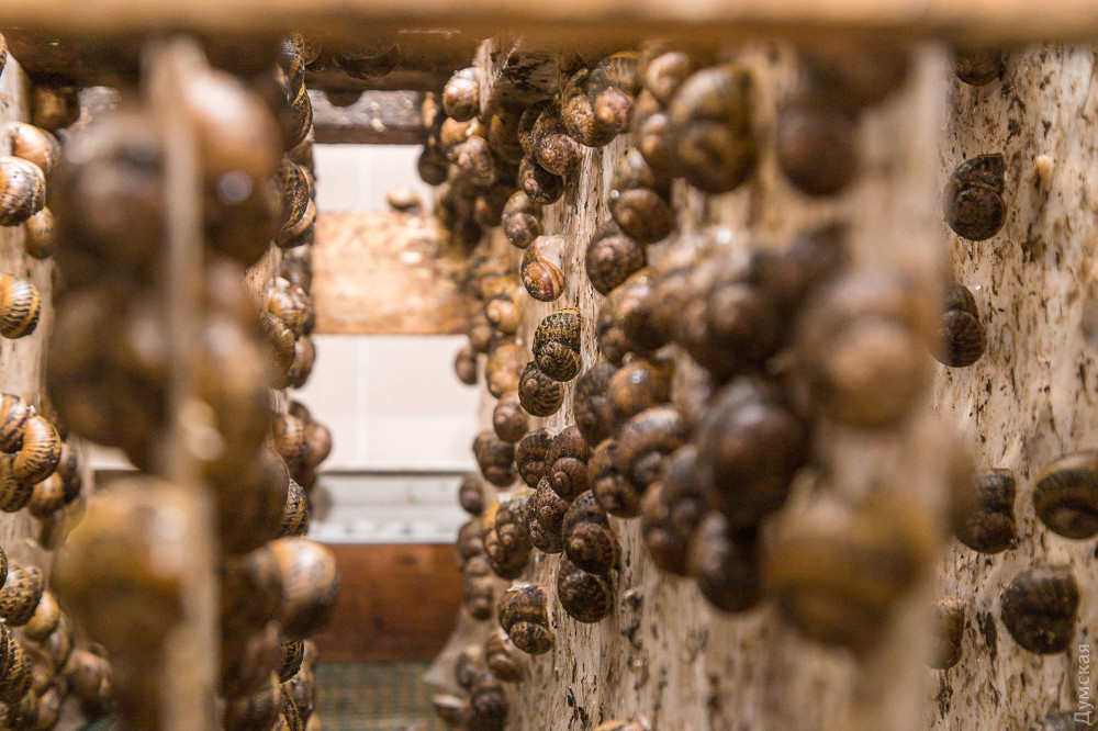 � ������ ���� �������� �� ��������� ����� � ������������