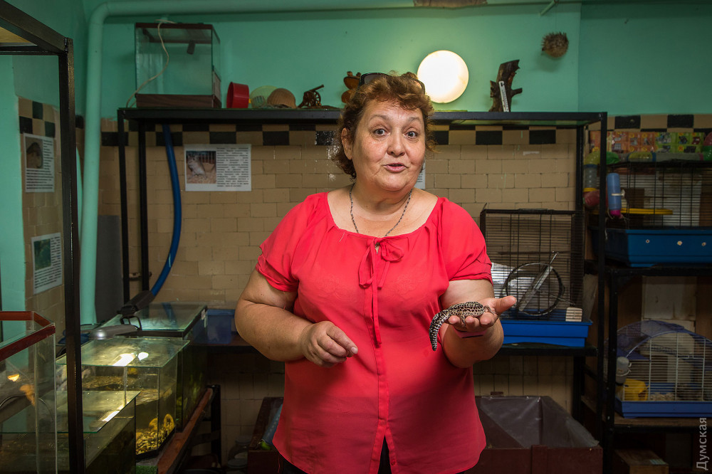 ������, ��� �������� ����� �������� ������ 