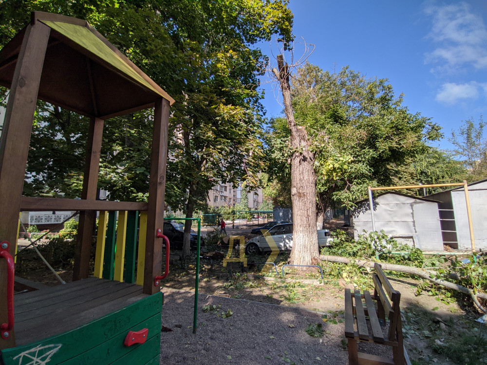 ��� ����� ������