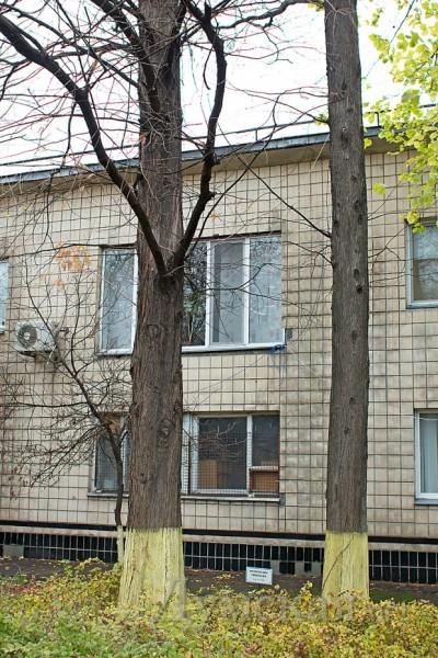 �����������