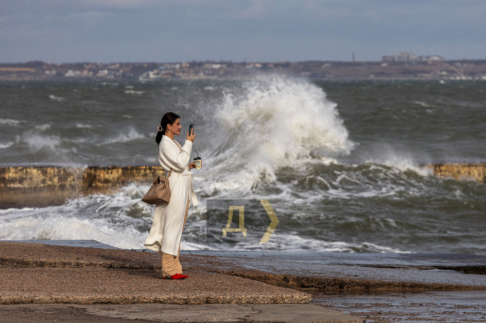 ������ �����