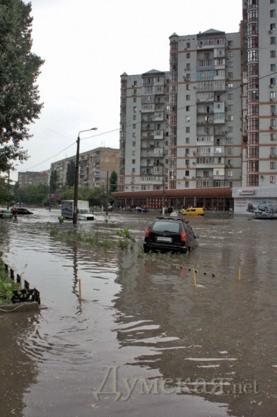 ����������. ����: ������� ��������