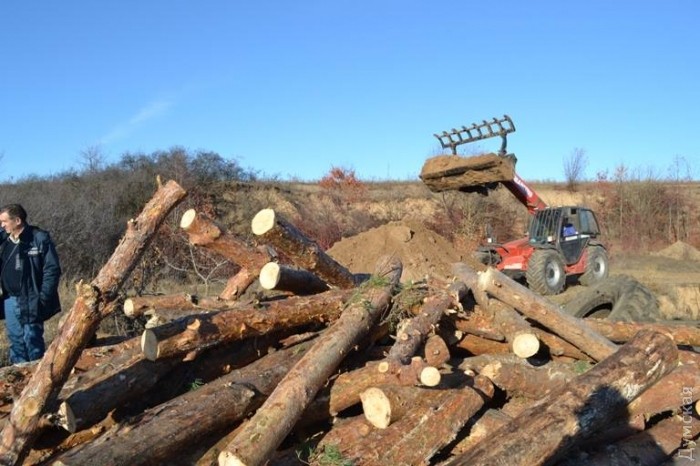 ������ ���������