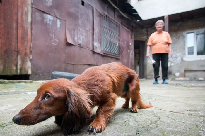 ��� �������� ���������� ���� �����