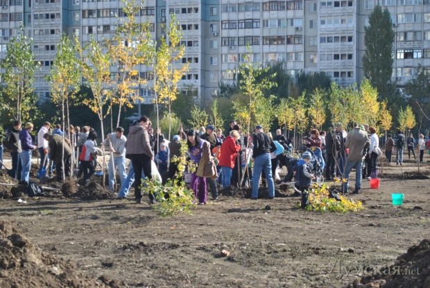 ������ ������ ������ � ������� ������ �������. ������� 2010-��