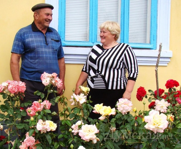 � ���������-�������� ������� ������� - ������ ������ ��������� � ���