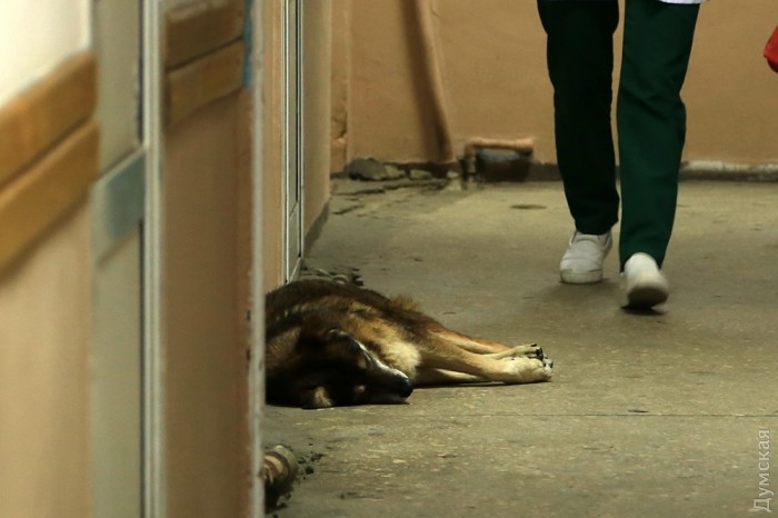 � ��������� �������� ������ ����� �� ������ �����