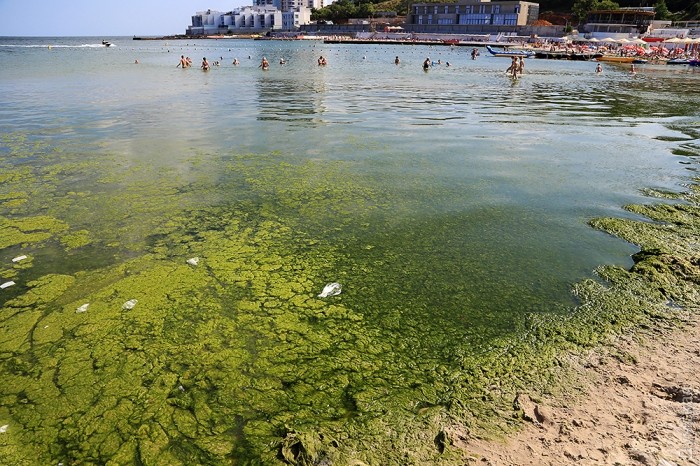 �������, ����������� ����