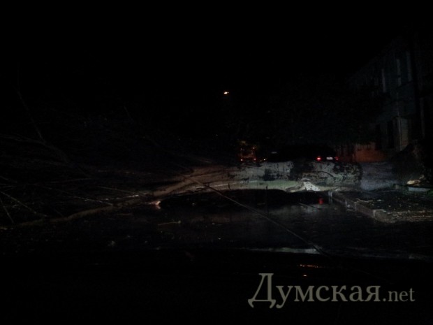 ������������� ����������, 47