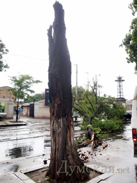 �������� ������ ������������ �������� ����� ��������������������� � ����������� � �����������������. ���������, ������� ��������, ���� �� ��������. ������� �����. ����: �. ���������