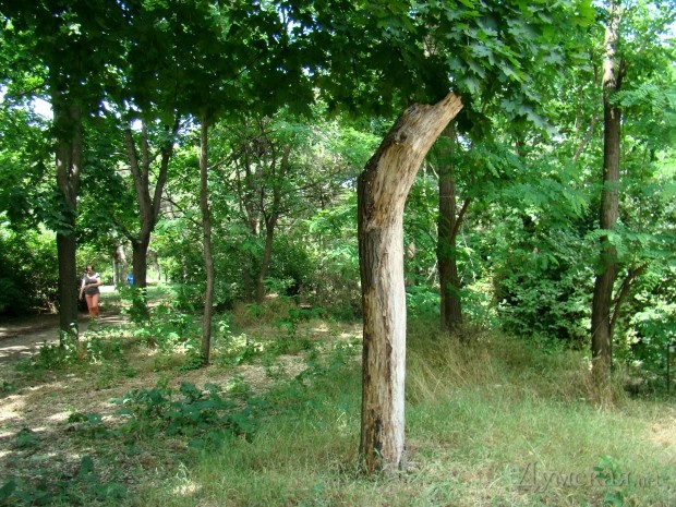 ���� ������ - 2014