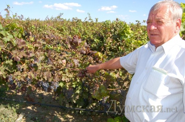 ������� ������� �������� ����� ������������ � ������������ ������� �����