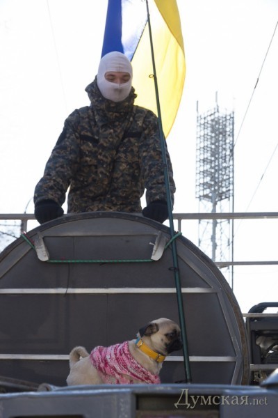 ������ ���� �����������