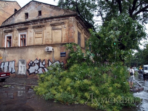 ��������������������� ����� ��. ���� ��������. ����: �. ���������