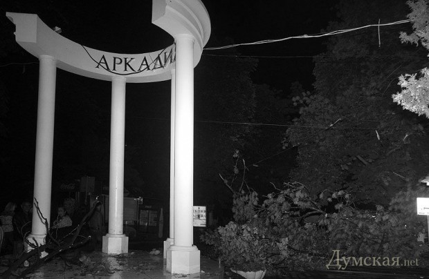 �������, 31 ��� 2013 �.