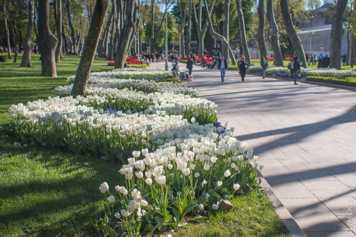 ���� ��������