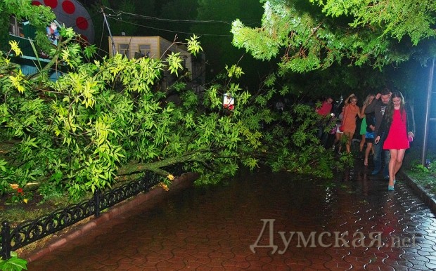 ����������� ����� ������� ������ ������ �� ������ �����������