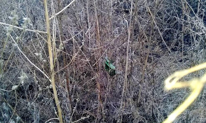 ���� ������������� �������� ���-50 ���� ���� ������