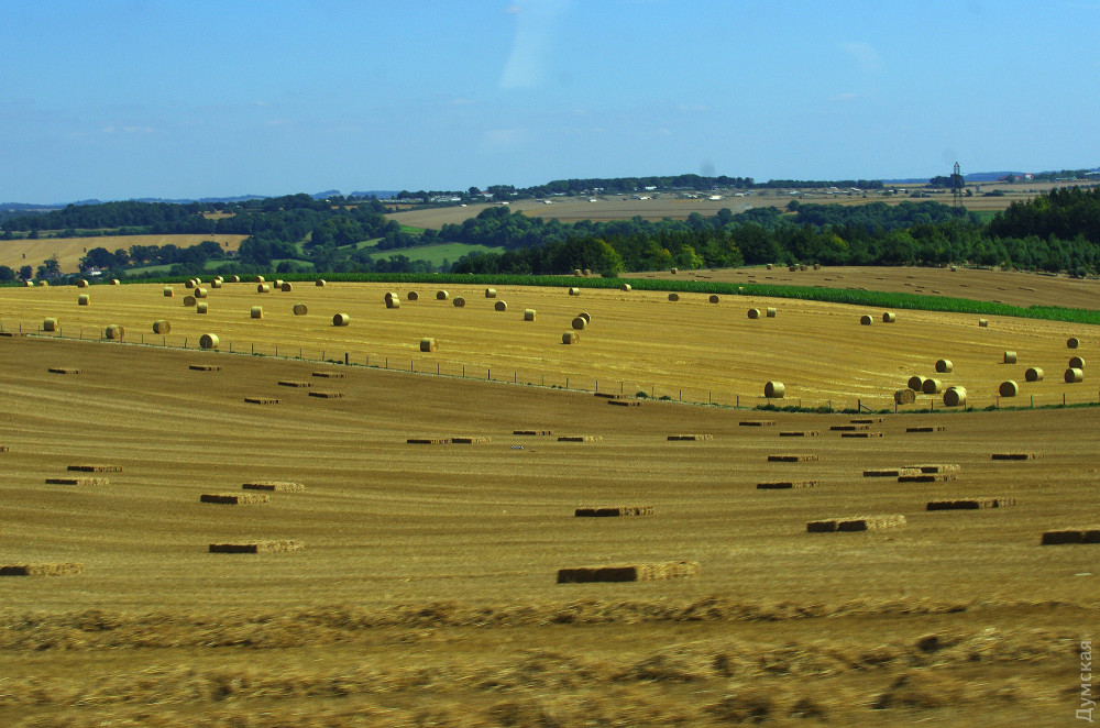 ���� �� �����