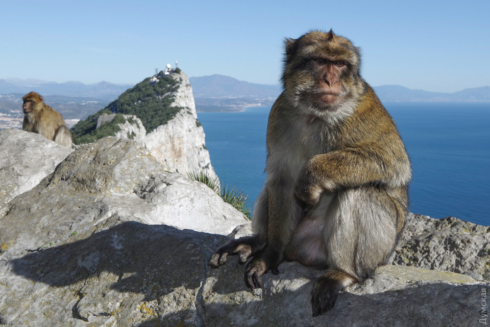 ����������, ����������, ������