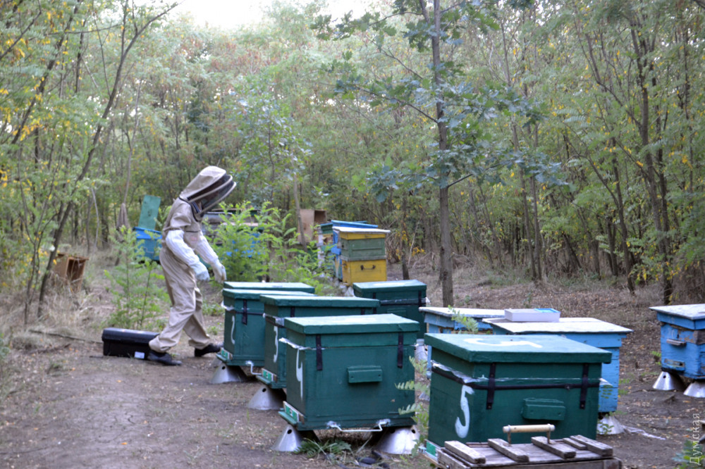 ��������� �������� � ��������, ������� �� ��������� ��������� 