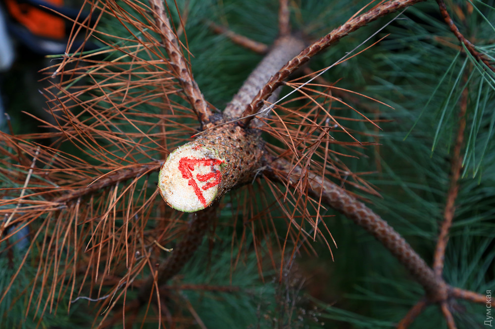 �� ��������� ����� � ������ ������ ���� ������� ������ � �����-���