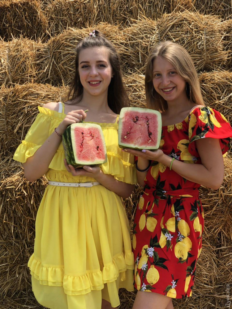 ����� ������� 